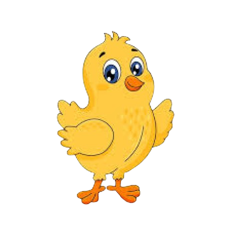 Ayam